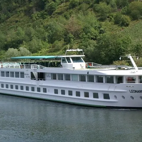 ms Leonardo de Vinci