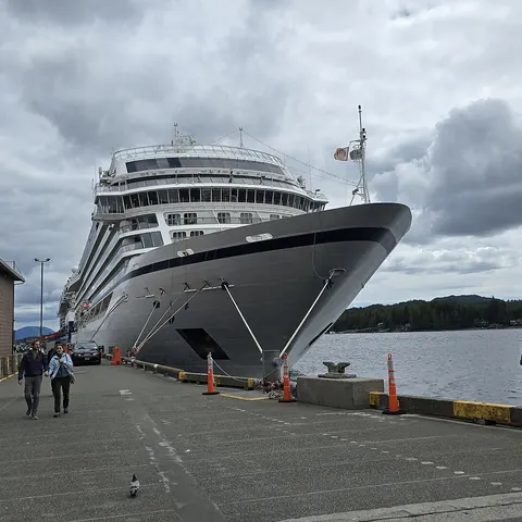 Viking Orion