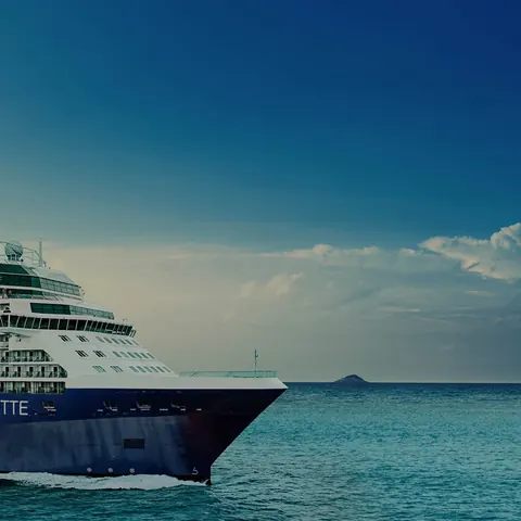 Celebrity Silhouette