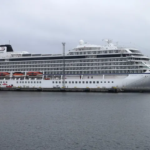 Viking Star