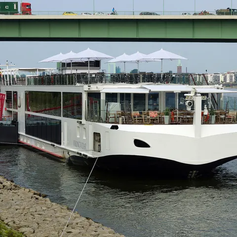 Viking Vidar