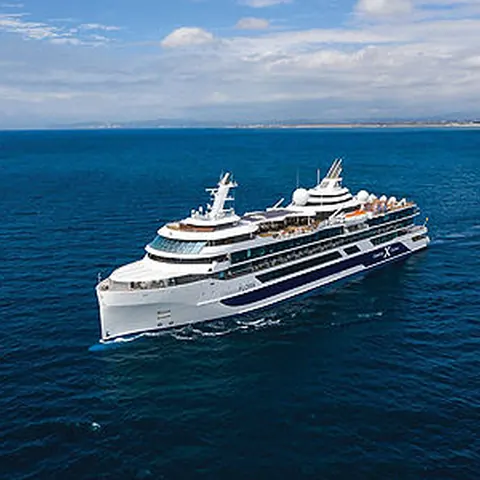 Celebrity Flora