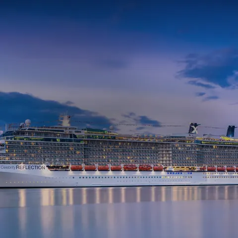 Celebrity Reflection