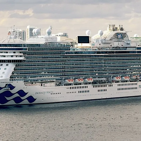 Enchanted Princess